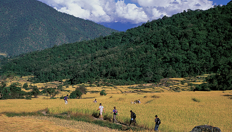 Wbti-bhutan-walking-5
